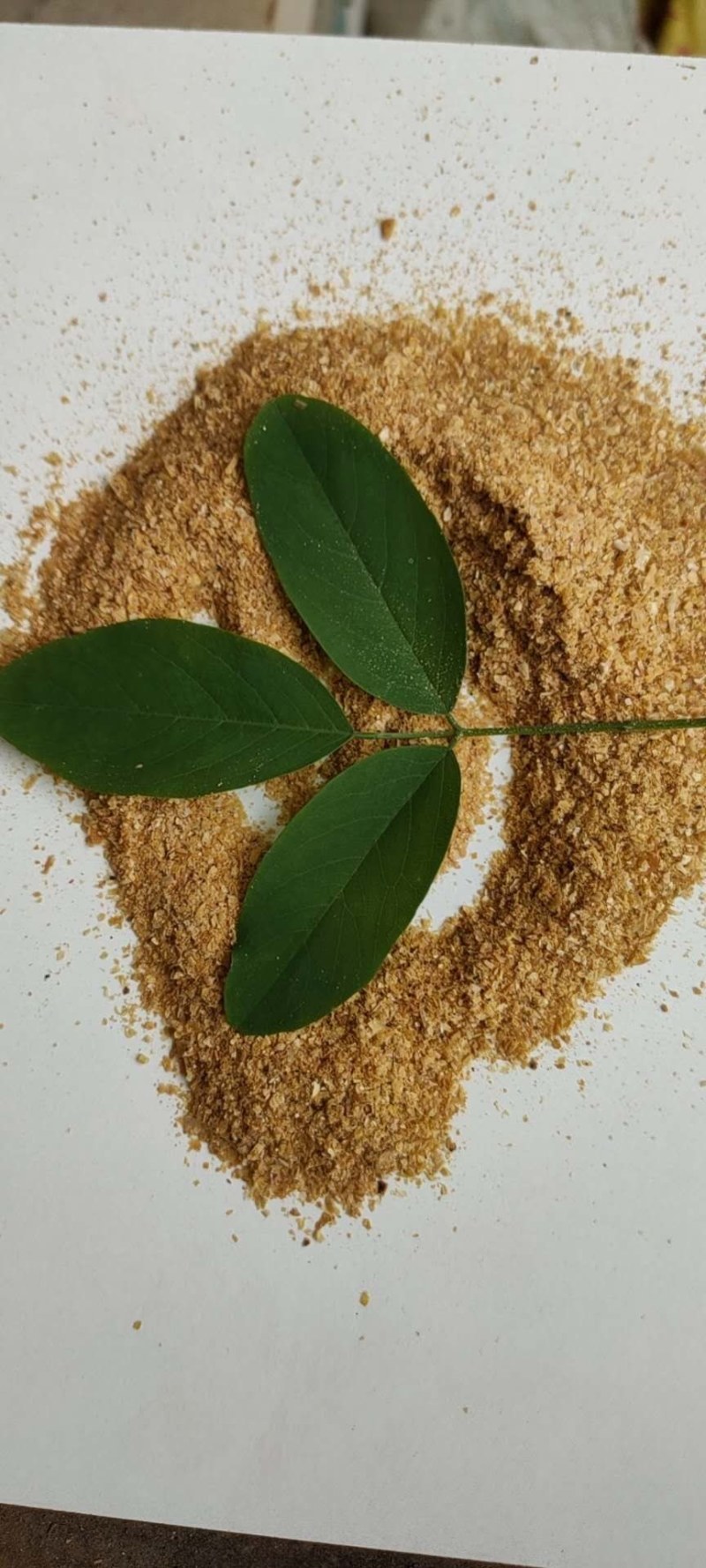 【有好货】厂家直销，大量出售喷浆玉米皮，优质好货，质量好