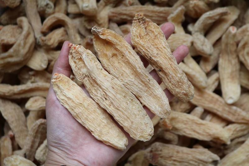 广州人20头云南丽江中大号红天麻支持批发代发