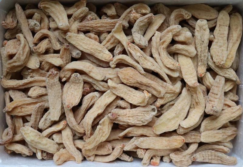 广州人20头云南丽江中大号红天麻支持批发代发