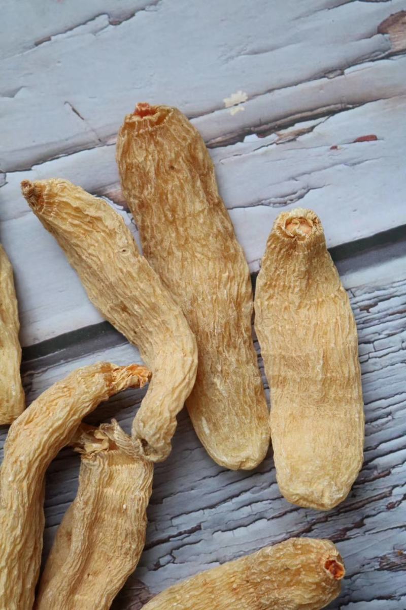广州人20头云南丽江中大号红天麻支持批发代发