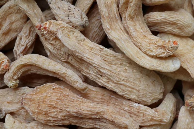 广州人20头云南丽江中大号红天麻支持批发代发