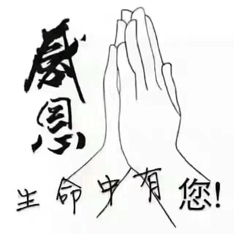 大别山大叶种艾苗全国包邮除新疆西藏港澳台处