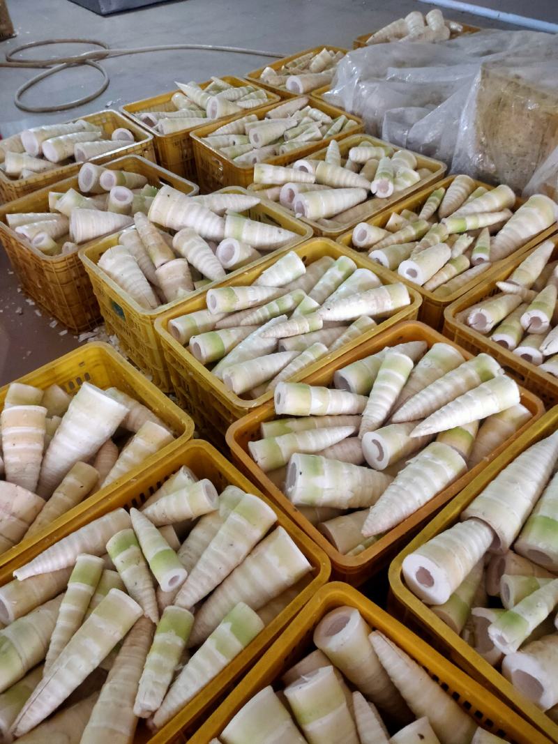 螺蛳粉专用，酸笋丝，酸笋片，笋尾，去青皮，高端笋