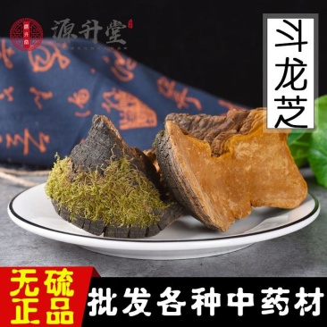 斗龙芝中药材灵芝大全量大从优
