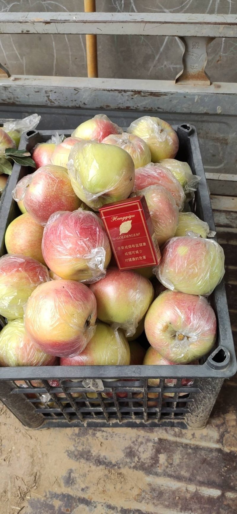 河南美八成熟精品大果