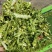 优质青贮秸秆饲料打包机，玉米秸秆发酵牛羊饲料草打捆包膜机