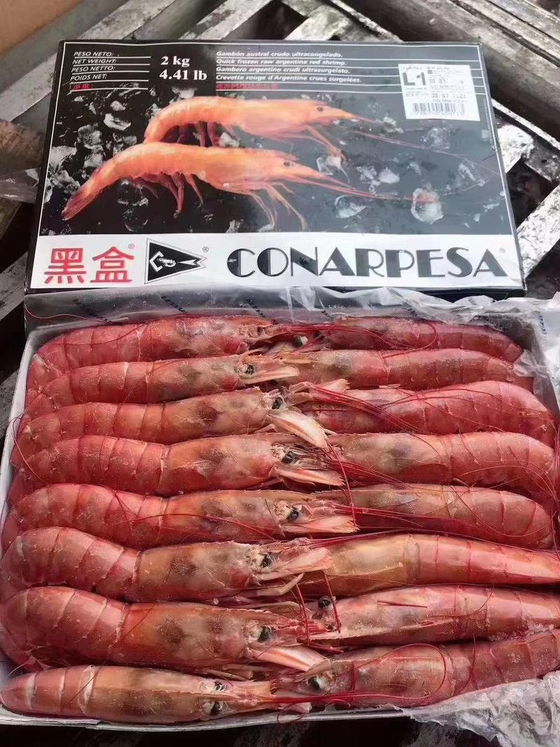 阿根廷红虾1号2号康纳黑盒