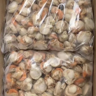 扇贝肉，原汁全规格，新货