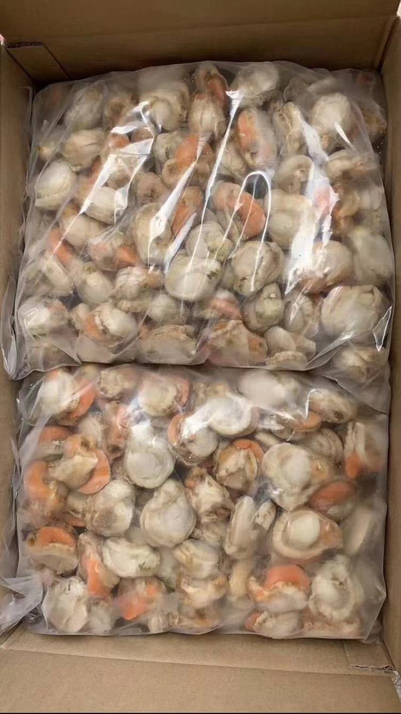 扇贝肉，原汁全规格，新货