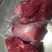 正宗牦牛鲜肉、冻肉，牛头、牛蹄、欢迎各位老板来电咨询。