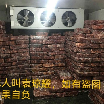 正宗牦牛鲜肉、冻肉，牛头、牛蹄、欢迎各位老板来电咨询。