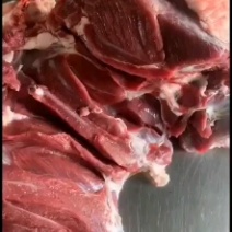 新鲜剔骨纯干无水本地黄牛肉，每个部位都有，客户可随意挑选
