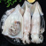 鱿鱼新鲜速冻鱿鱼章鱼无水泡大鱿鱼码头发货保证质量