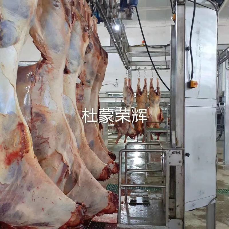 蒙古马肉四分体抄吗，7月份新货