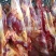 蒙古马肉四分体抄吗，7月份新货