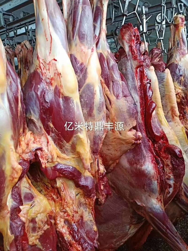 蒙古马肉四分体抄吗，7月份新货