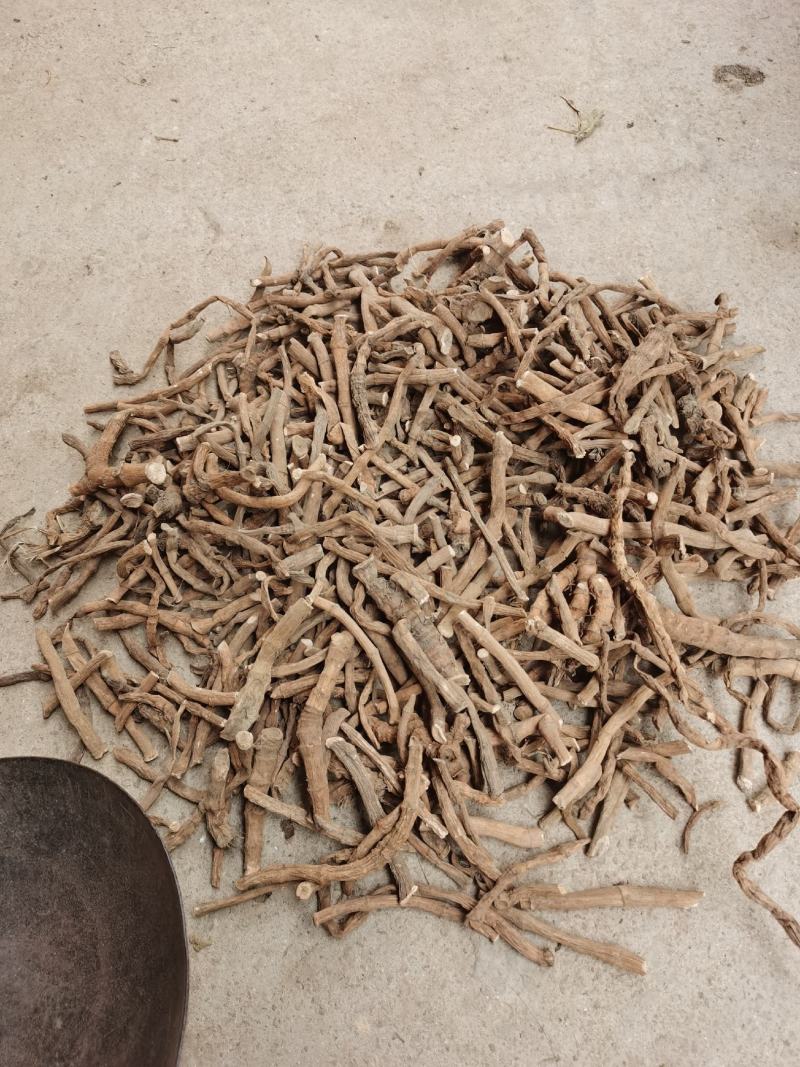 塘边耦也叫三白草货源充足，量大优惠。