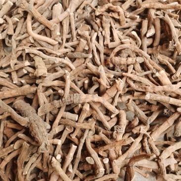 塘边耦也叫三白草货源充足，量大优惠。