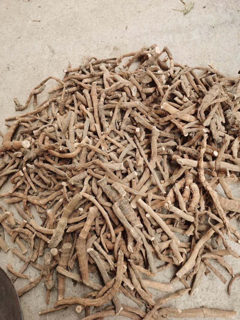 塘边耦也叫三白草货源充足，量大优惠。
