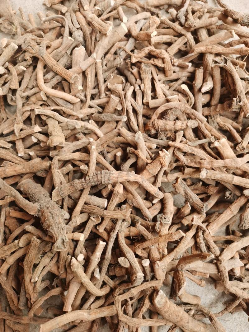 塘边耦也叫三白草货源充足，量大优惠。
