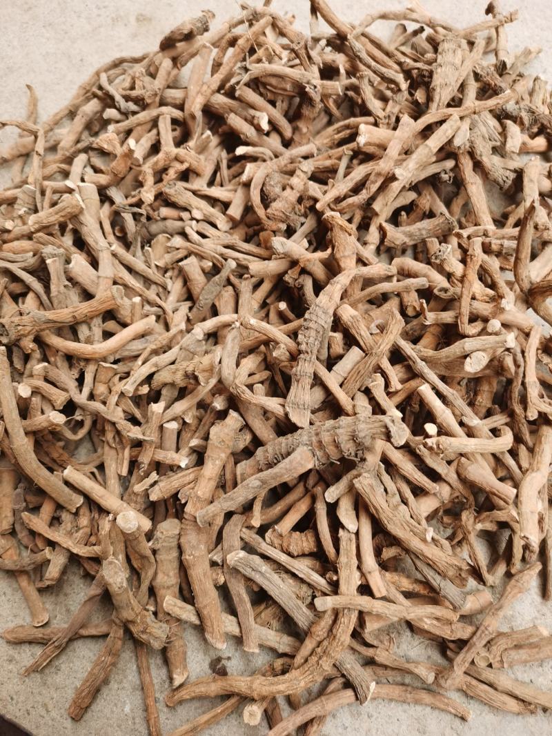 塘边耦也叫三白草货源充足，量大优惠。