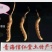 纯野生【六百万销量额】二十年实体老店西藏正宗那曲虫草