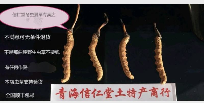 纯野生【六百万销量额】二十年实体老店西藏正宗那曲虫草