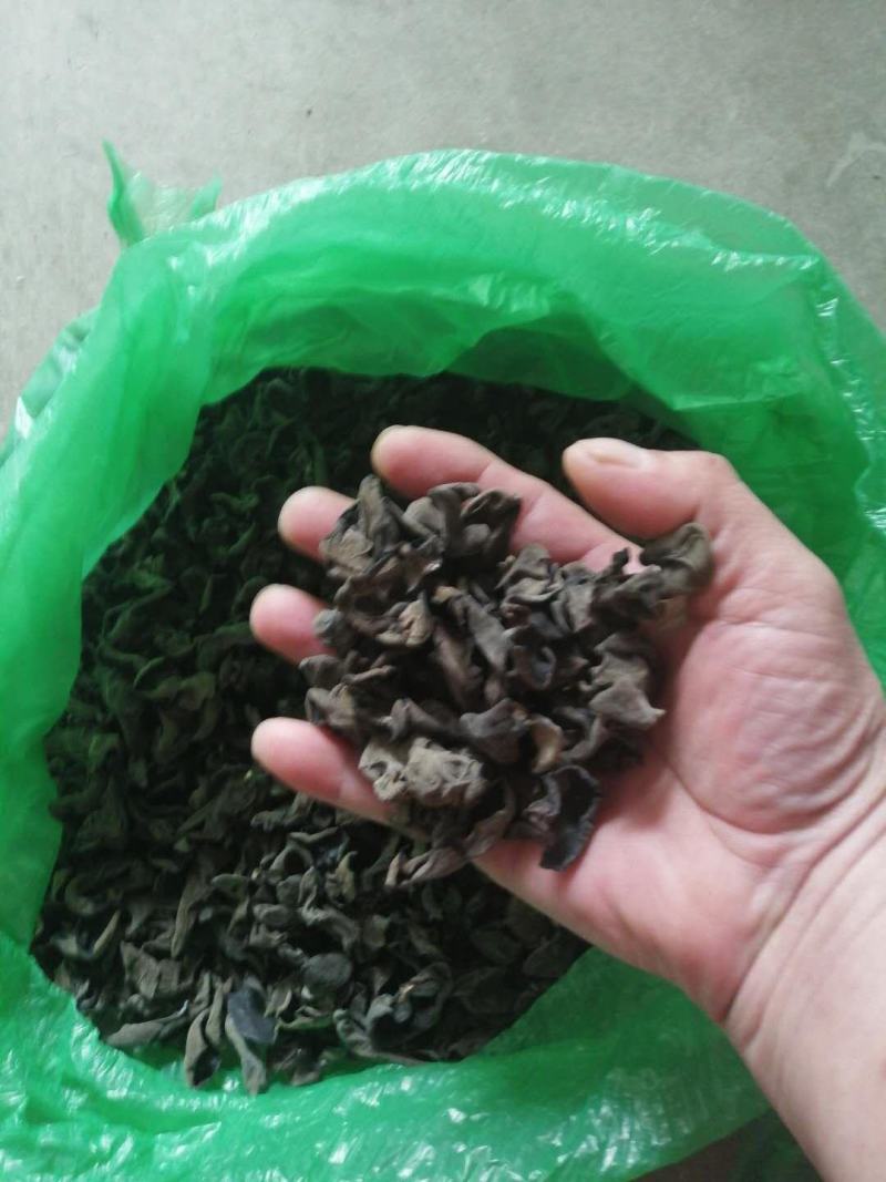 （包邮）东北黑木耳，特级，无味，敢比质量，可送广告布。
