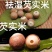 芡实米鸡头米芡实米熬粥芡实米粉糯芡实米包邮
