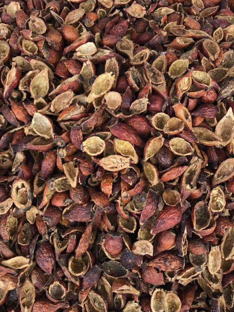 金樱肉【包邮】三斤起发货可批量可零售量大从优