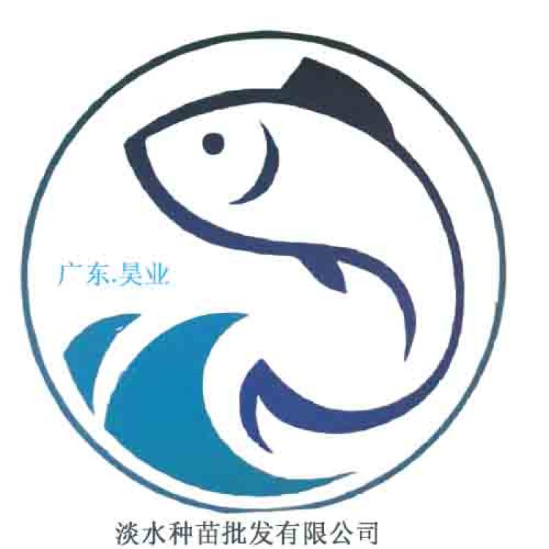 红草鱼苗，大量批发，欢迎订购。。。。。。