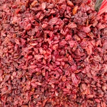 山芋肉、山茱萸大货批发产地直销一手货源价格优！
