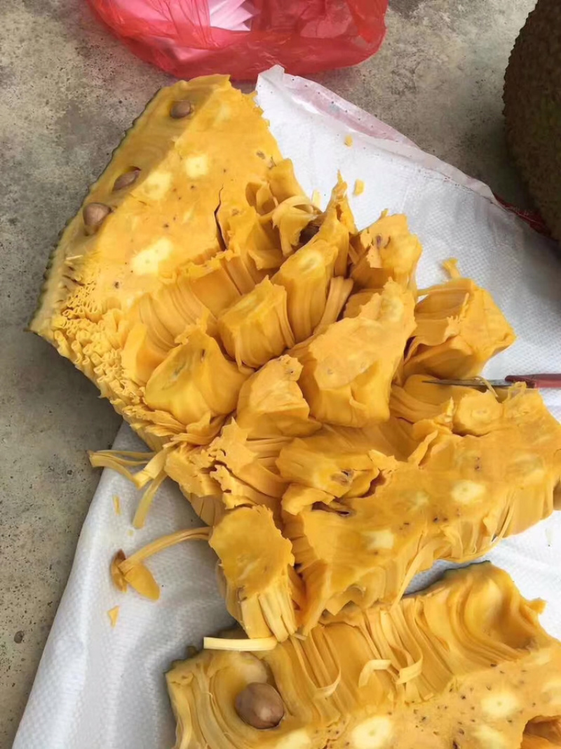 热带水果海南保亭黄肉菠萝蜜