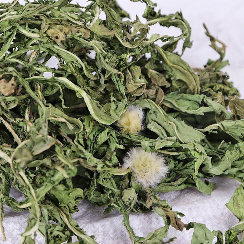 精品蒲公英中药材万种中药材产地直销