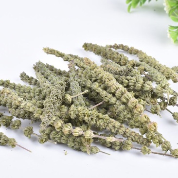 荆芥穗产地直销量大从优一手货源