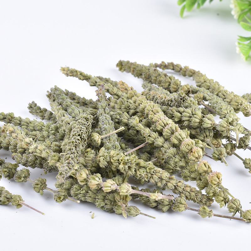 荆芥穗产地直销量大从优一手货源