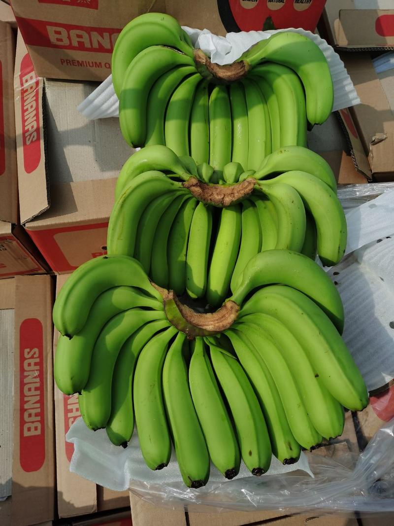 超市专用香蕉，特价香蕉物美价廉。欢迎光临