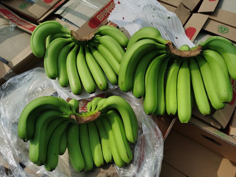 超市专用香蕉，特价香蕉物美价廉。欢迎光临