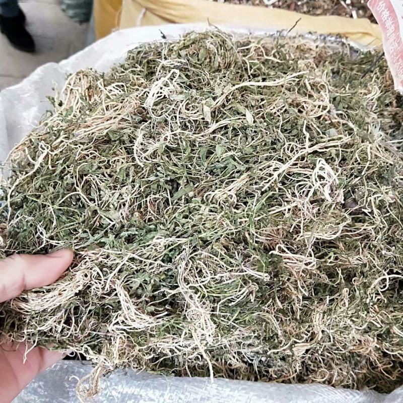 半边莲产地直销量大从优一手货源