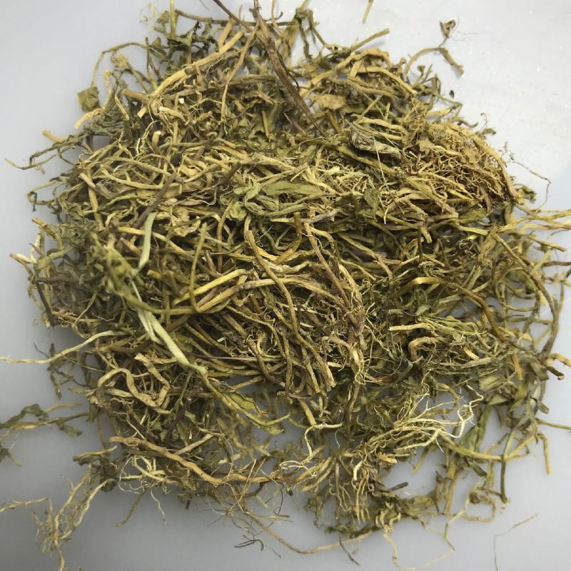 半边莲产地直销量大从优一手货源