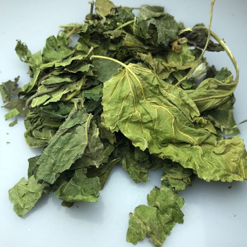 桑叶中药材产地直销量大从优