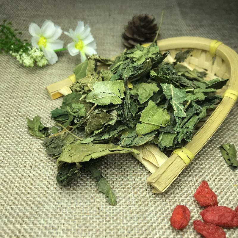 桑叶中药材产地直销量大从优