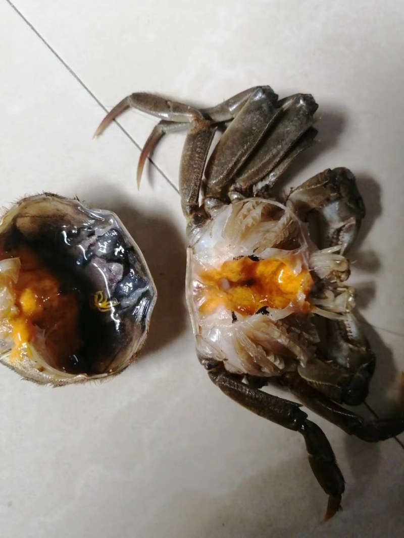 河蟹六月黄，保质保量，如果出现质量问题全额退款