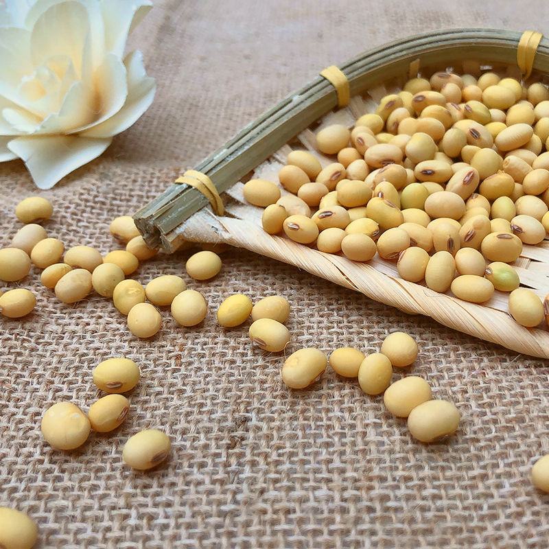 【现磨纯黄豆面新货】纯黄豆粉五谷杂粮多规格可选包邮