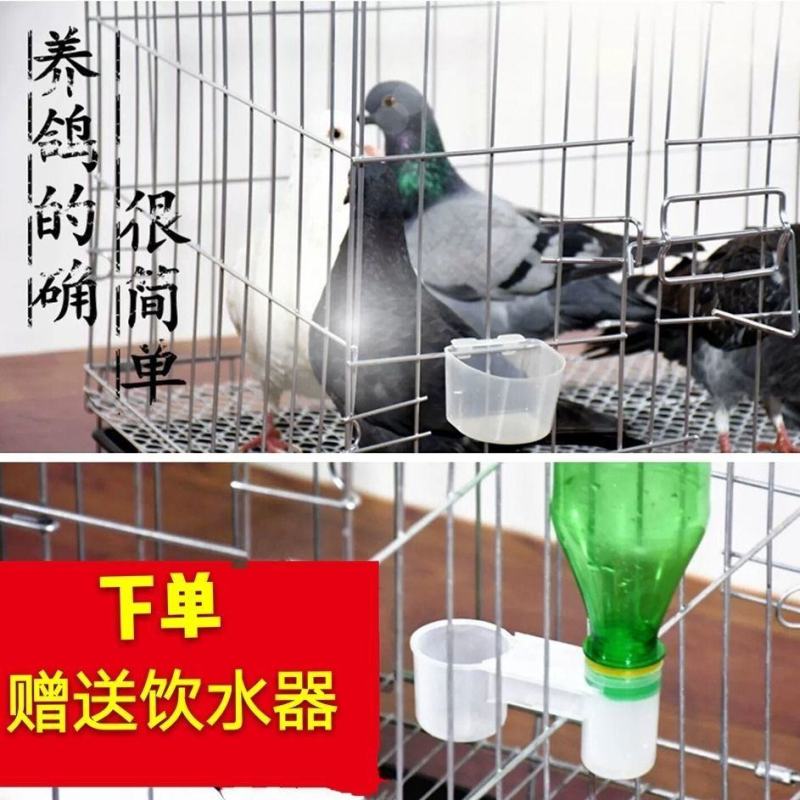 包邮加粗鸽子笼鸟笼鸽子用品用具鸽子笼大号鸡笼家用鸽子养殖