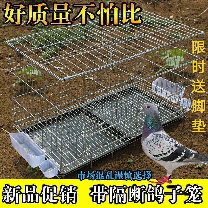 包邮加粗鸽子笼鸟笼鸽子用品用具鸽子笼大号鸡笼家用鸽子养殖