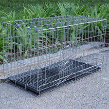 鸽子笼大号家用鸽笼配对养殖繁殖笼子鸽子用具鸽棚大号带隔断