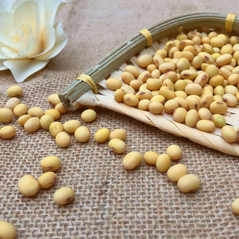 【现磨纯黄豆面新货】纯黄豆粉五谷杂粮多规格可选包邮