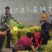 灵宝青皮核桃，货源足，品种纯，质量佳。
