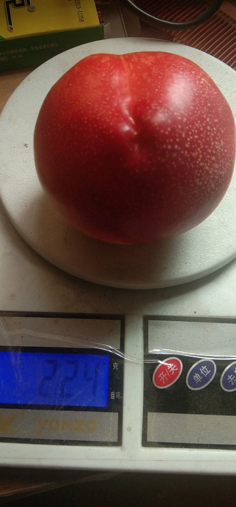126油桃，个头大（三量以上）颜色好，口感好。